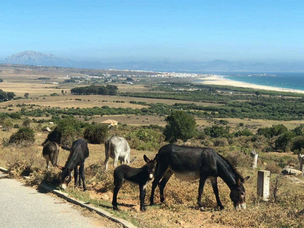El Estrecho Leilighet Tarifa Eksteriør bilde