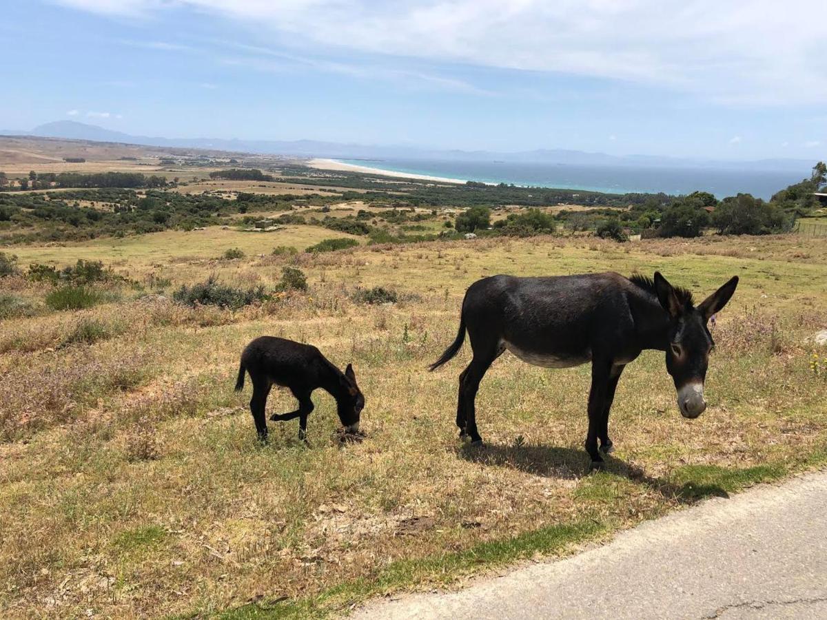 El Estrecho Leilighet Tarifa Eksteriør bilde